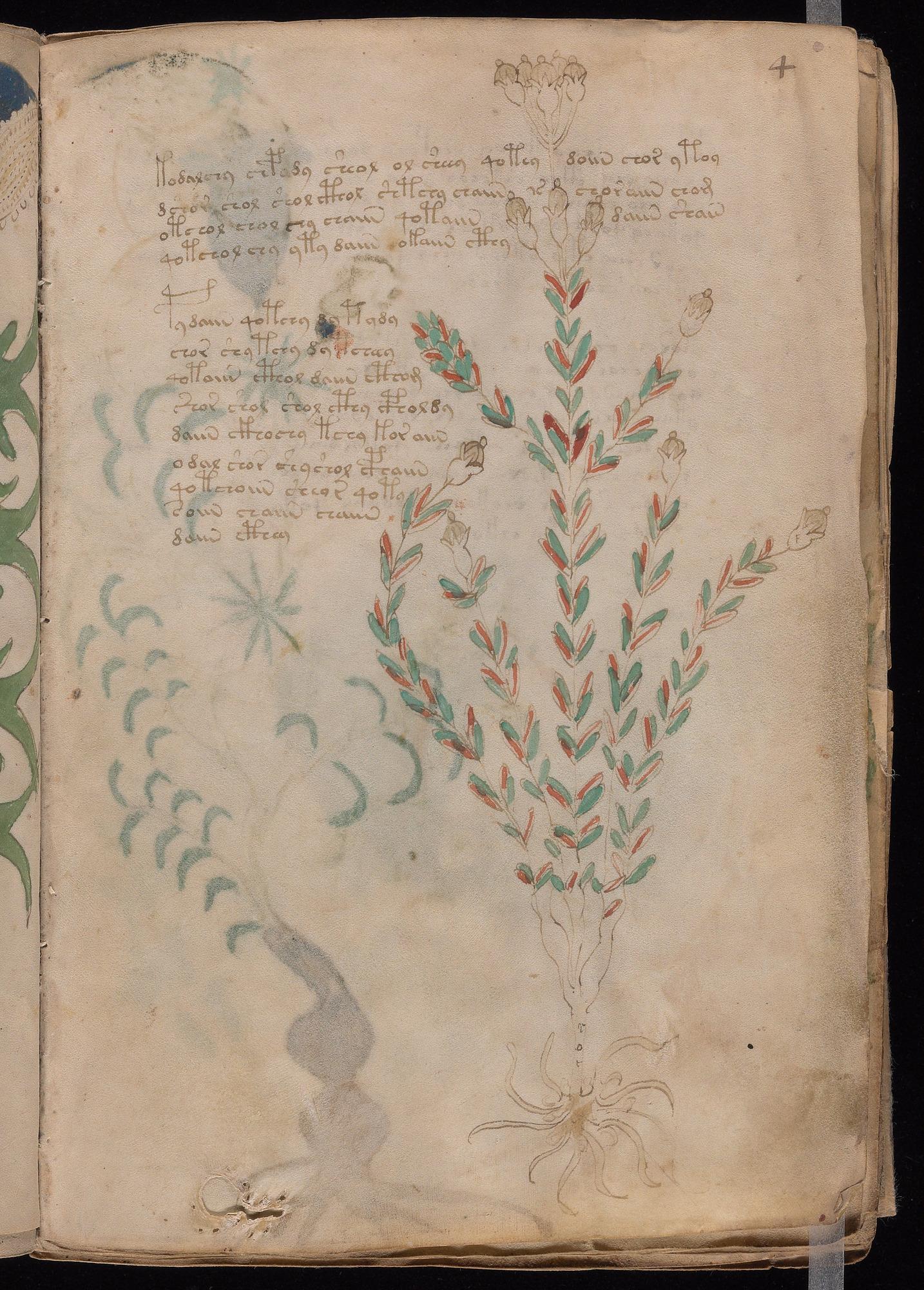 Herbal Page 7